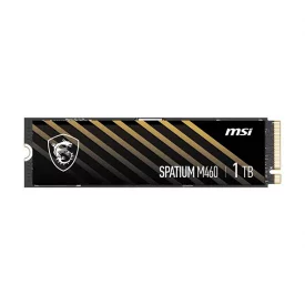 اس اس دی اینترنال ام اس آی ظرفیت 1 ترابایت مدل SPATIUM M460 M.2