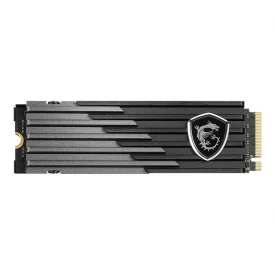 اس اس دی اینترنال ام اس آی ظرفیت 1 ترابایت مدل SPATIUM M480 M.2 PLAY