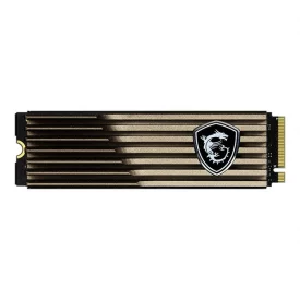 اس اس دی اینترنال ام اس آی ظرفیت 1 ترابایت مدل SPATIUM M460 M.2 HS