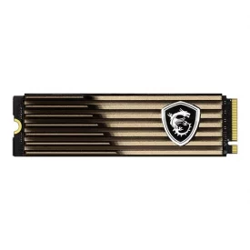 اس اس دی اینترنال ام اس آی ظرفیت 1 ترابایت مدل SPATIUM M480 PRO M.2 HS