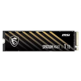 اس اس دی اینترنال ام اس آی ظرفیت 1 ترابایت مدل SPATIUM M461 M.2
