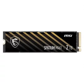 اس اس دی اینترنال ام اس آی ظرفیت 2 ترابایت مدل SPATIUM M461 M.2